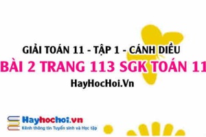 Giải bài 2 trang 113 Toán 11 tập 1 SGK Cánh Diều: Đường thẳng và mặt phẳng